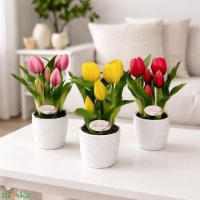 Virágdísz kaspóban