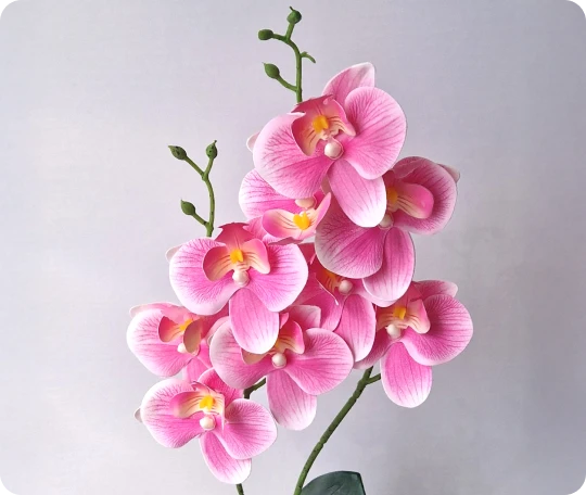 Mű orchidea